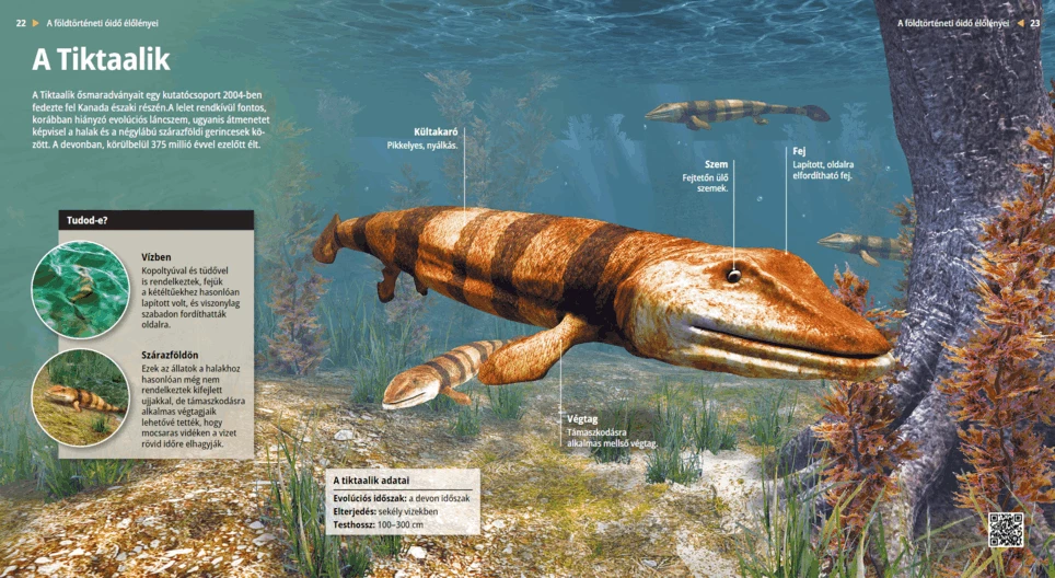 Tiktaalik