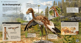 Archaeopteryx