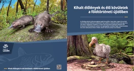 Вымершие в кайнозойскую эру виды и живые ископаемые