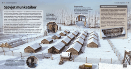 Soviet Labour Camp