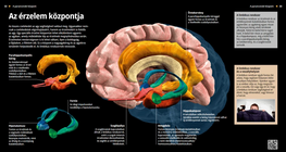 The Centre of Emotions
