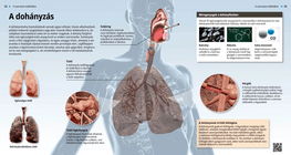 The Effects of Smoking