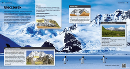 Glaciers