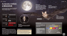 Bats: Living Radars