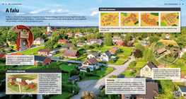 Villages