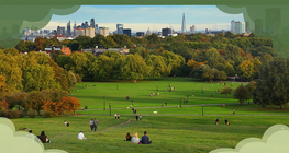 Who takes care of the environment?