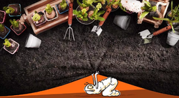 Πώς αλλάζει η ζωή στον κήπο;