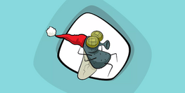 Πού κρύβονται οι μύγες τον χειμώνα;