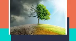 Капризы погоды