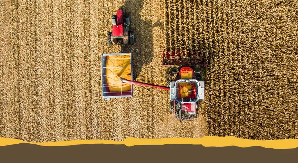 Κοινές αγροτικές καλλιέργειες