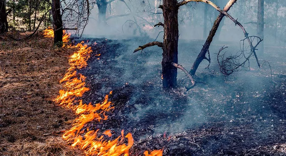 Από πότε χρησιμοποιεί ο άνθρωπος τη φωτιά;