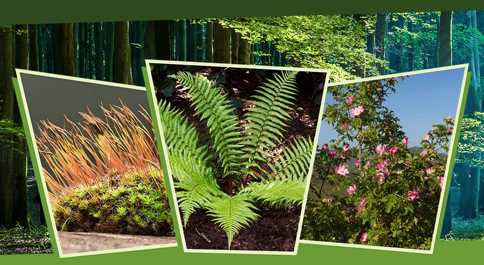 Στο φώς και στη σκιά