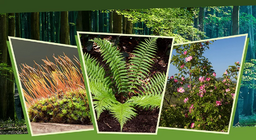 Στο φώς και στη σκιά