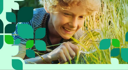 Η χλωρίδα και η πανίδα των πεδιάδων