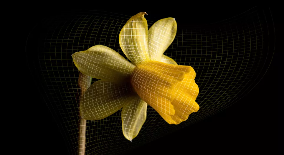 Το διαστελλόμενο σύμπαν και τα μυστικά του