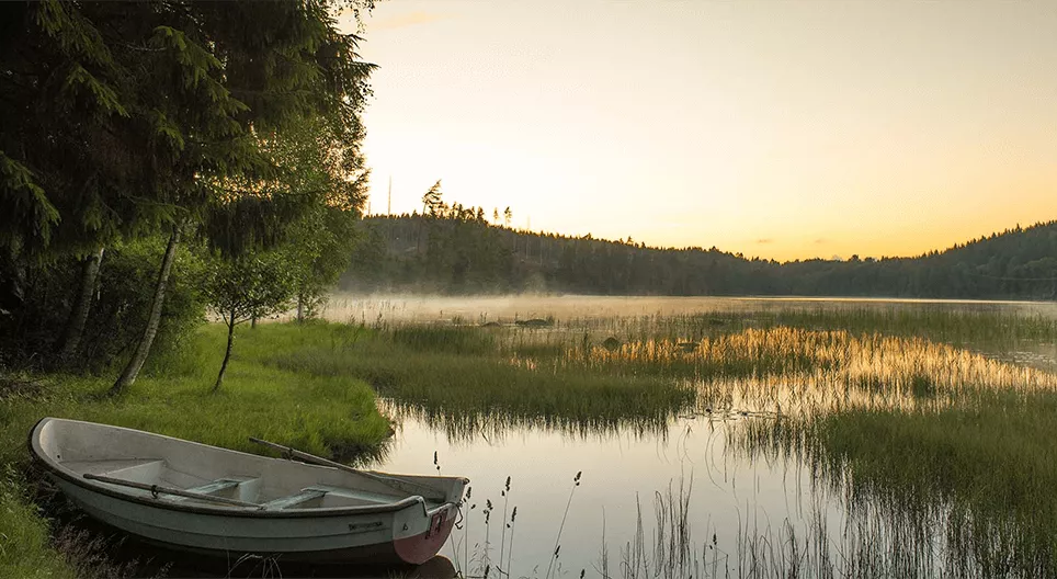Προστασία του νερού