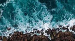 Какие движения воды характерны для Мирового океана?