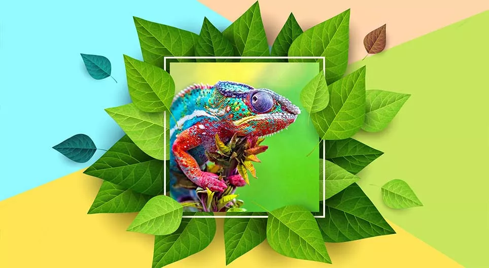 Αλλαγές χρώματος στη φύση