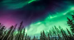 Давайте посмотрим на полярное сияние!