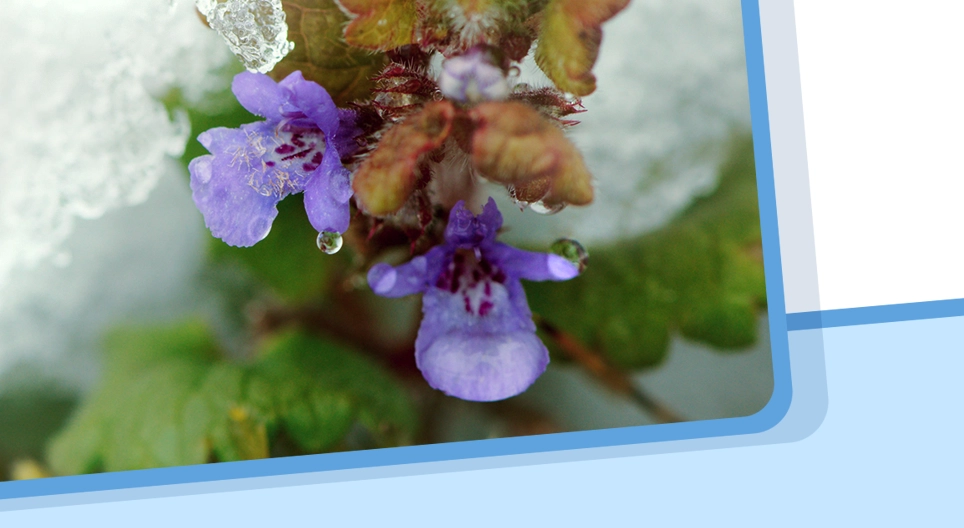 Καταστάσεις της ύλης, αλλαγή κατάστασης