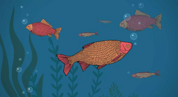 Τα ψάρια πίνουν νερό;