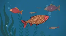 Пьют ли рыбы?