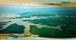 Ο Αμαζόνιος