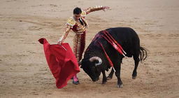 Πώς βλέπουν οι ταύροι την κάπα του ταυρομάχου; – Η όραση των ζώων