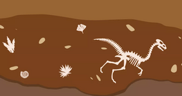 Πώς αναπτύχθηκε η ζωή στη Γη;