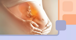 Τι συμβαίνει στο σώμα μιας γυναίκας στη διάρκεια της εγκυμοσύνης;