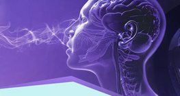 Αισθητήρες και υποδοχείς