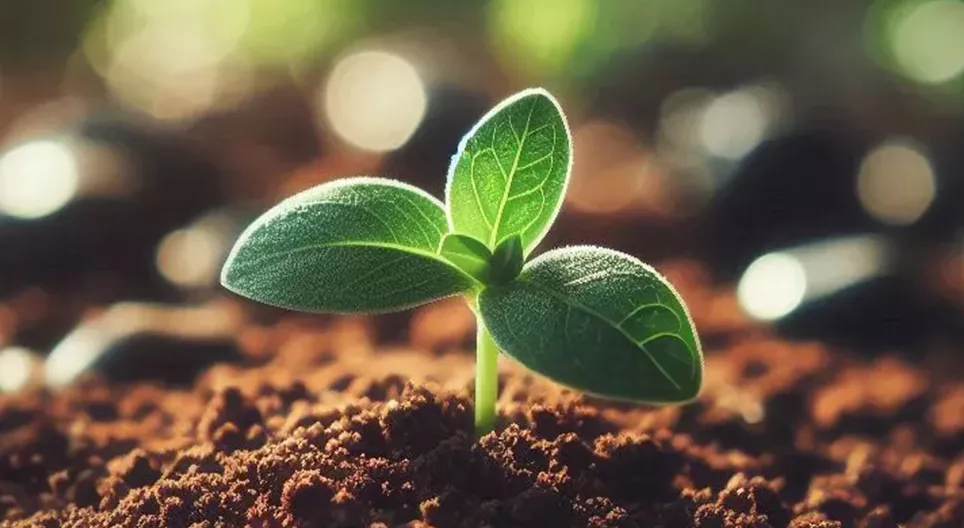 Βιώσιμη γεωργία