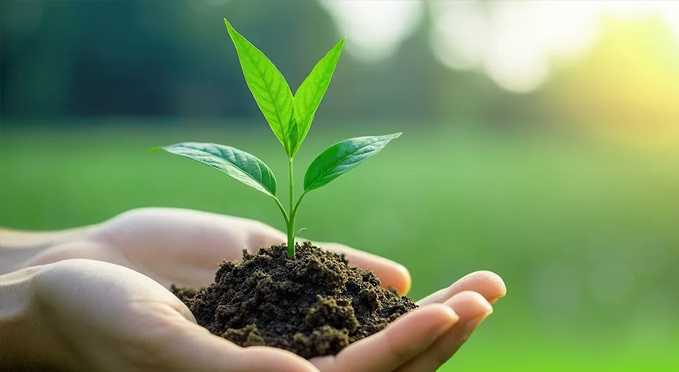 Πού ξεκινά η ζωή;