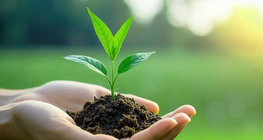 Πού ξεκινά η ζωή;