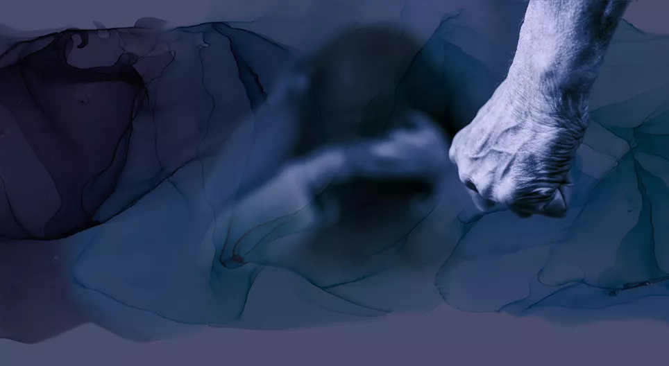 Κακοποιητικές σχέσεις