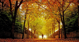 Autumn - Int. Ed.