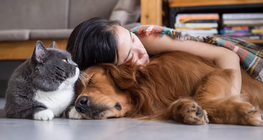 Pets - Int. Ed.