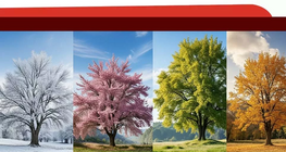 Seasons 季节