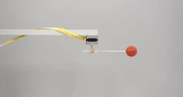 Projection of a circular motion