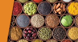 Χίλιες γεύσεις στη γλώσσα σας