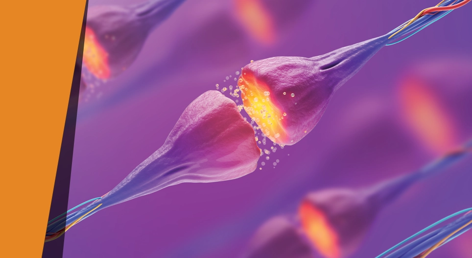 Γεύσεις που εξαφανίζονται