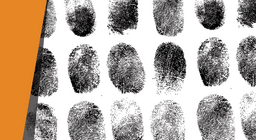 Ποιος το έκανε;