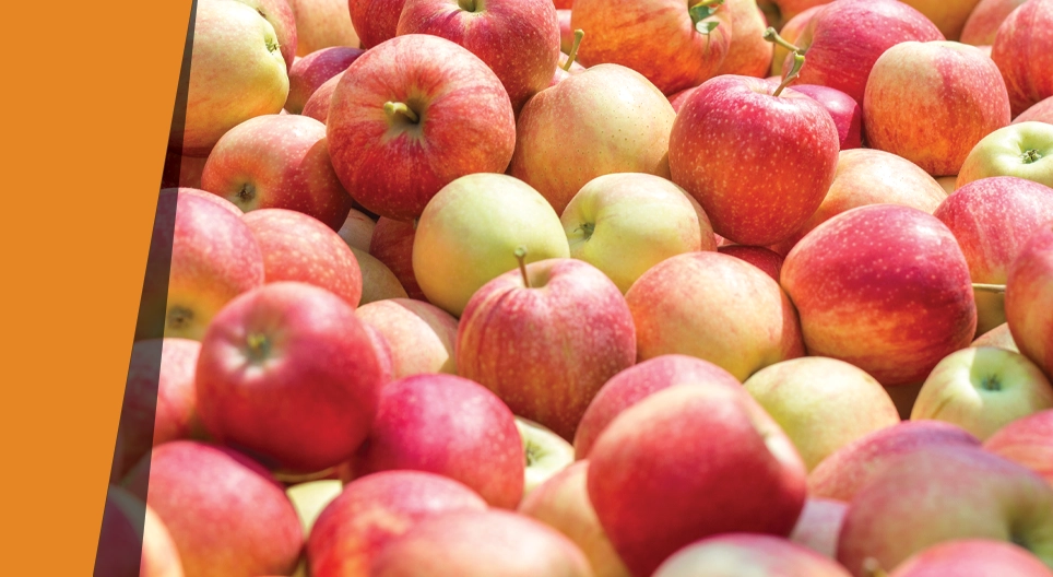 Ένα μήλο που μυρίζει σαν αμύγδαλο