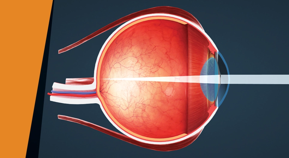 Τυφλό σημείο