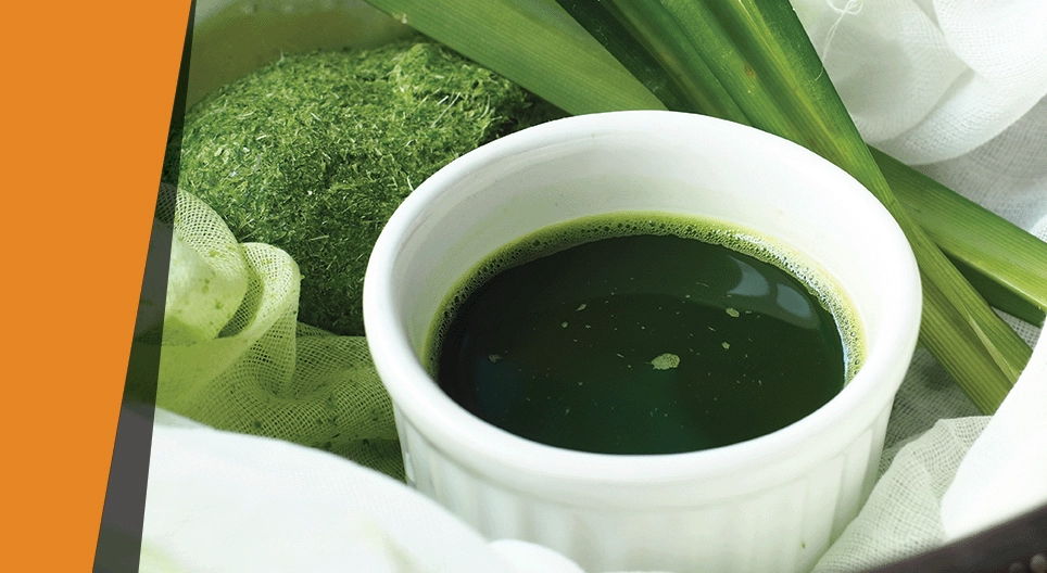 Το χρώμα των φύλλων