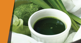 Το χρώμα των φύλλων