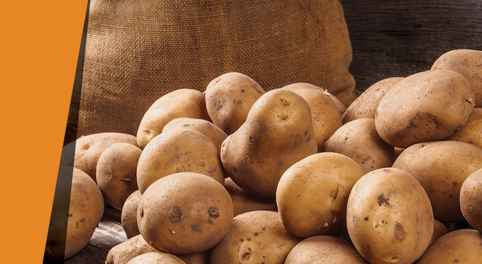 Η πατάτα ως καταλύτης