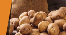 Η πατάτα ως καταλύτης