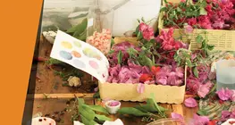 Рисование растениями