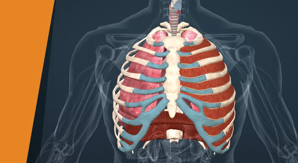 Πάρτε μια βαθιά ανάσα